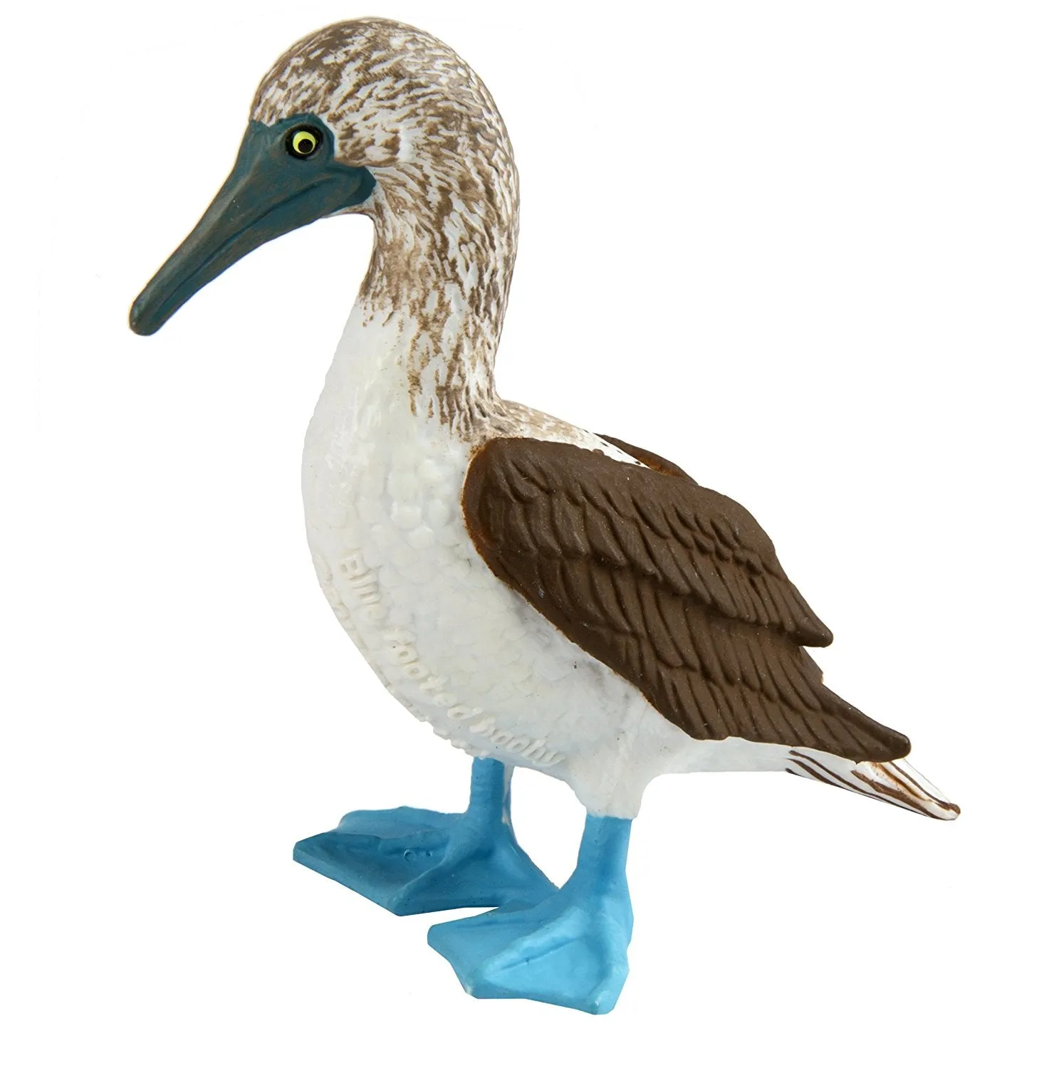 Blue Footed Booby