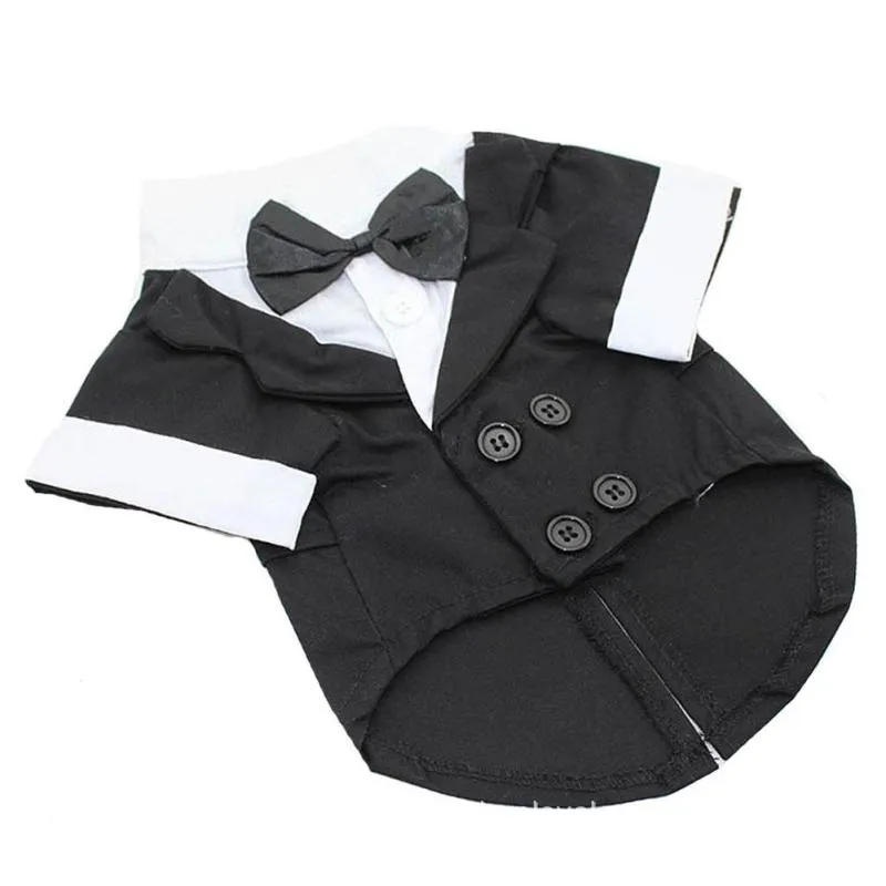 Dapper Doggy!! 

Adorable Tuxedo,  Western Style Tuxedo with Bow Tie