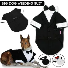 Dapper Doggy!! 

Adorable Tuxedo,  Western Style Tuxedo with Bow Tie