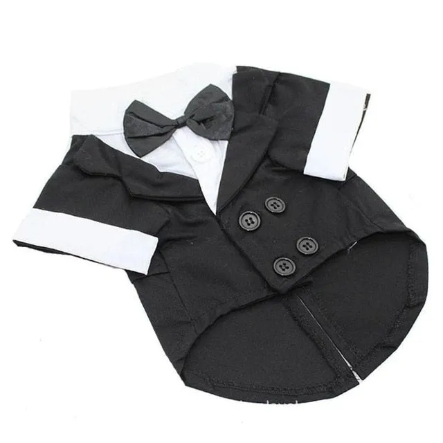 Dapper Doggy!! 

Adorable Tuxedo,  Western Style Tuxedo with Bow Tie