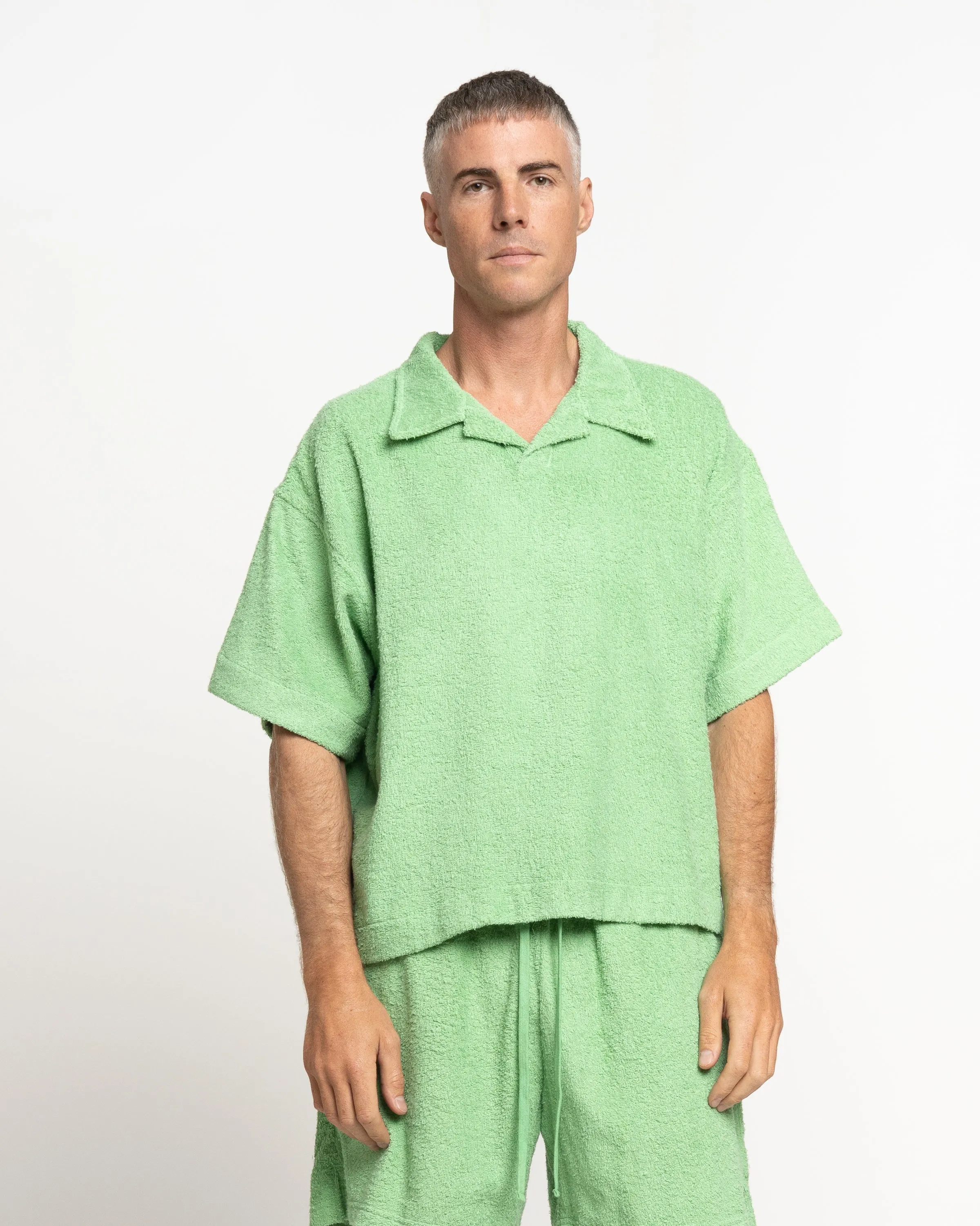 Terry Lecce Polo in Leaf